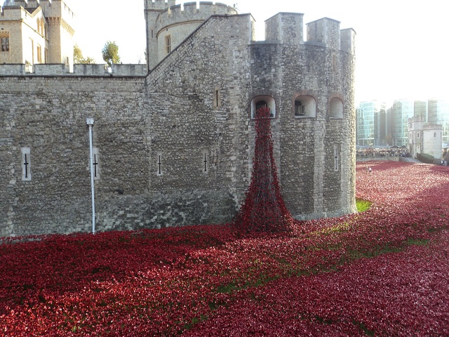 Remember The Poppies At The London Tower #poppies